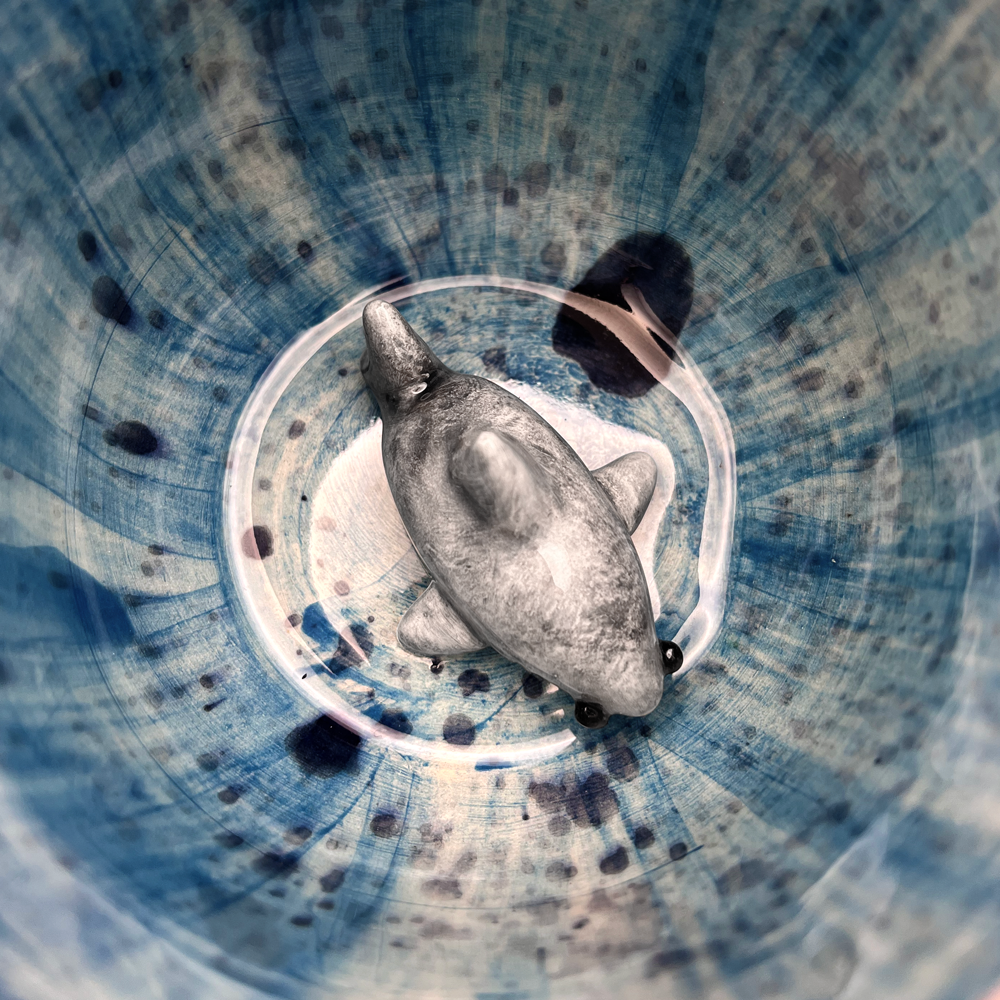 Taza Tiburon Sorpresa Mediana