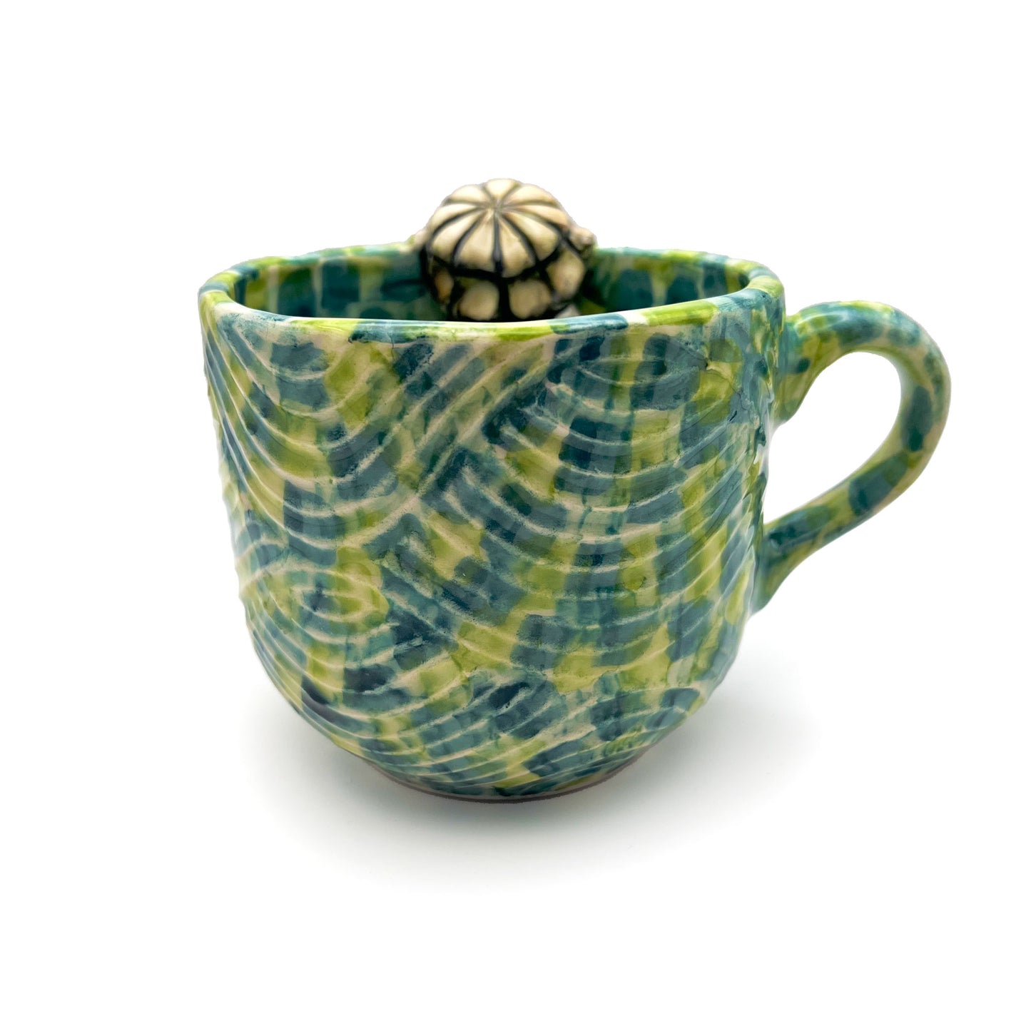 Taza Tortuga Curiosa