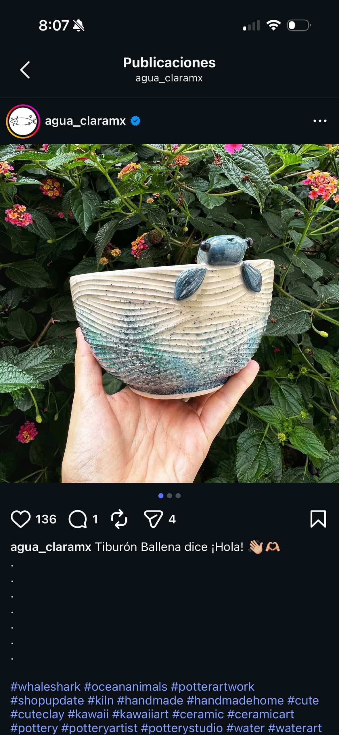 Bowl de foca asomada con corazon