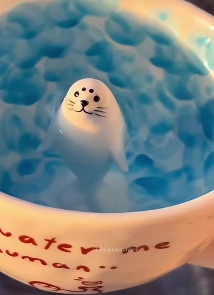 Taza de foca