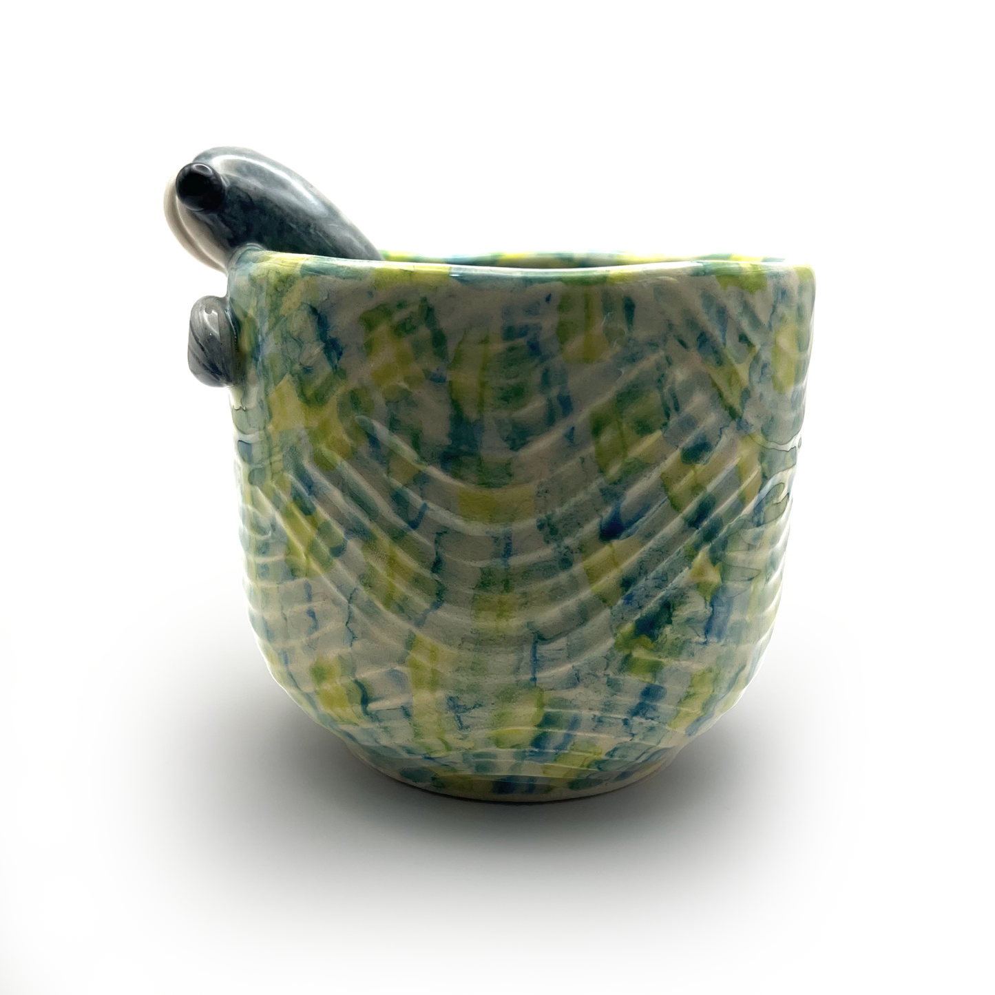 Taza Ballena Curioso