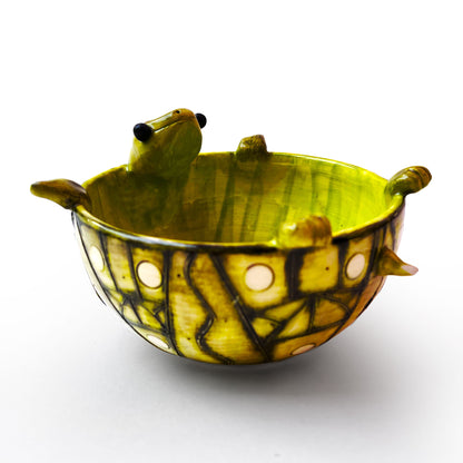Bowl de Tortuga