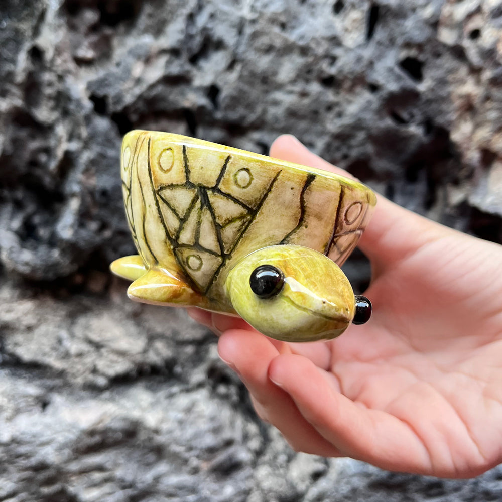 Mezcalero de Tortuga