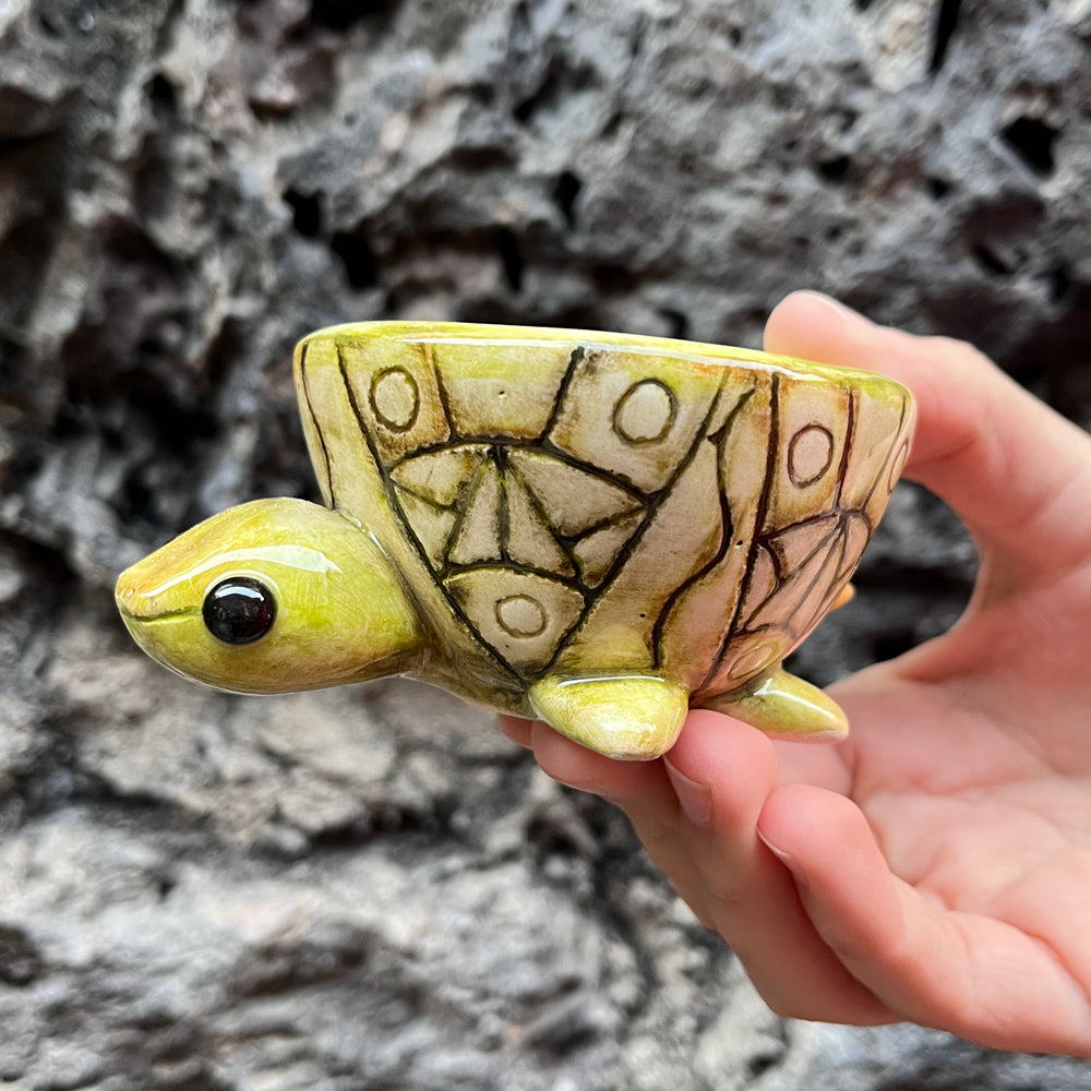 Mezcalero de Tortuga